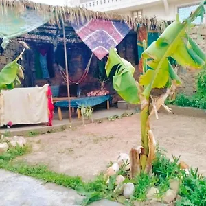 https://ocean-jam-surf-house.agadirhotels.org